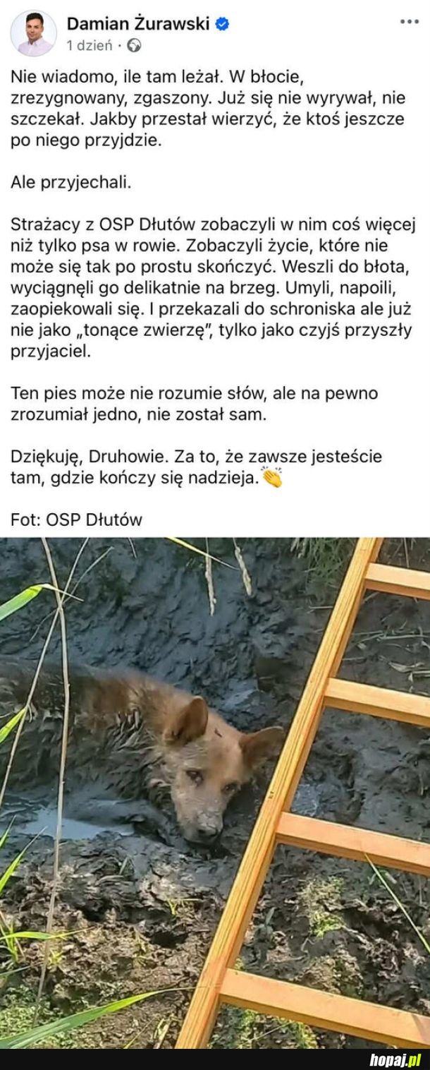 Ogromny szacunek dla strażaków, którzy uratowali psa