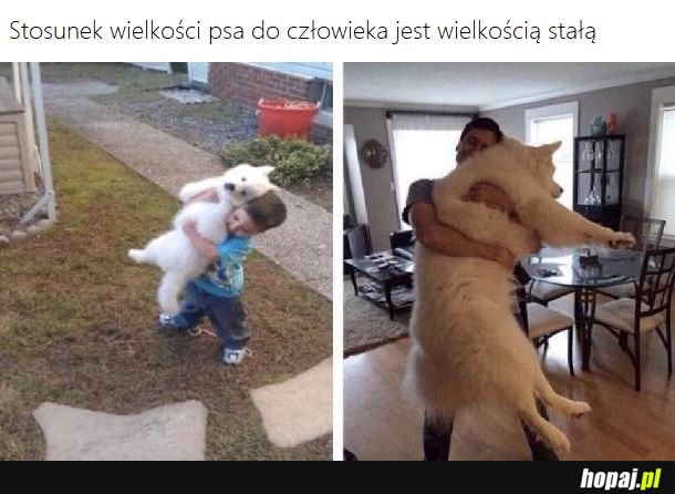 Wykład z psiej nauki