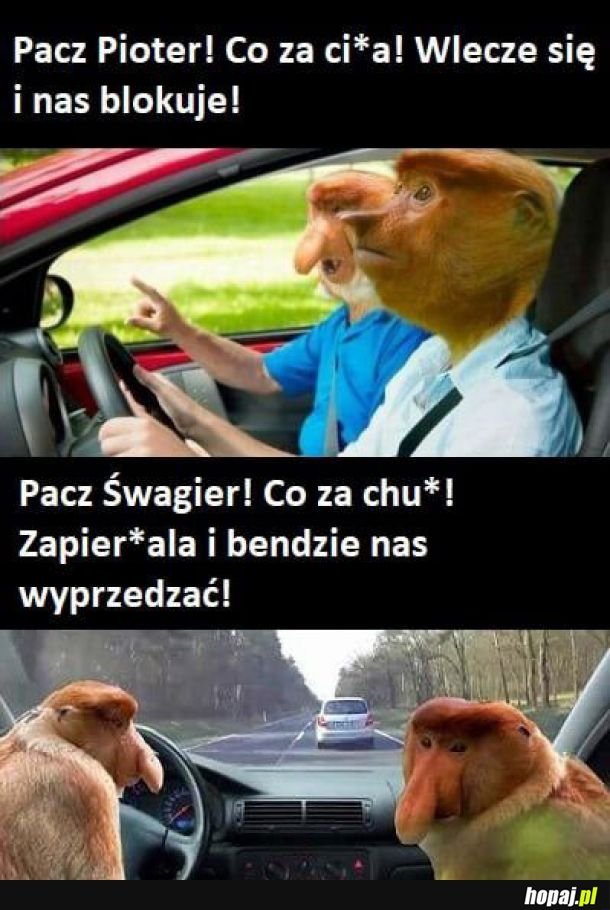 Pioter vs Śwagier 