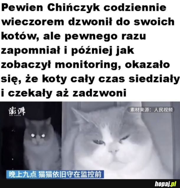 Czekały