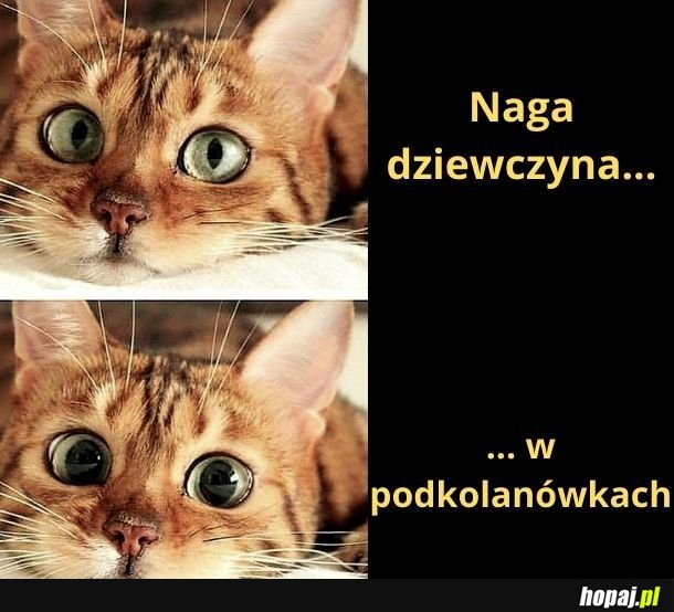 Jak w podkolanówkach to nie naga