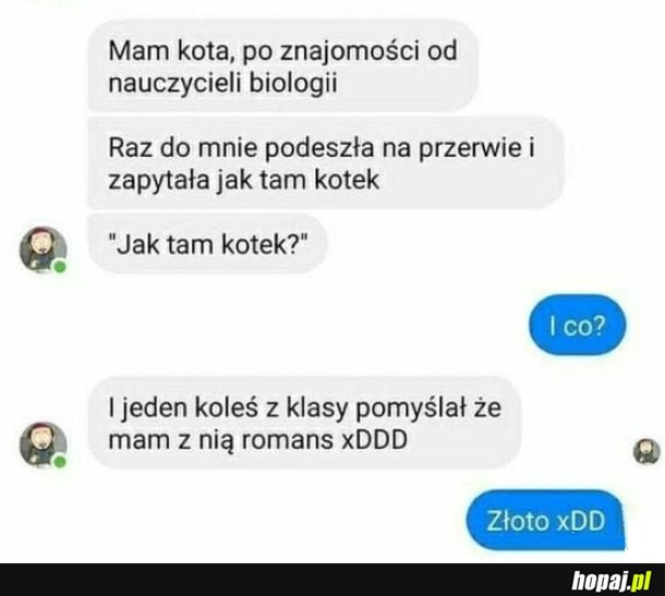 Jak tam kotek