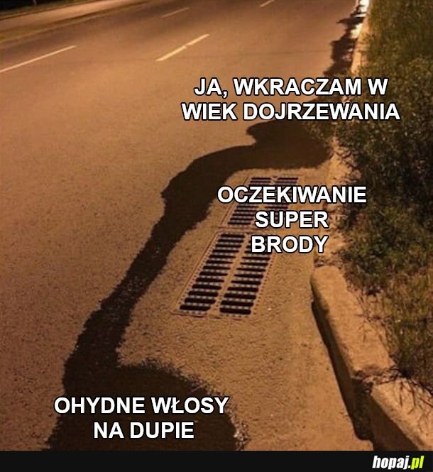 Kłaki na bułach