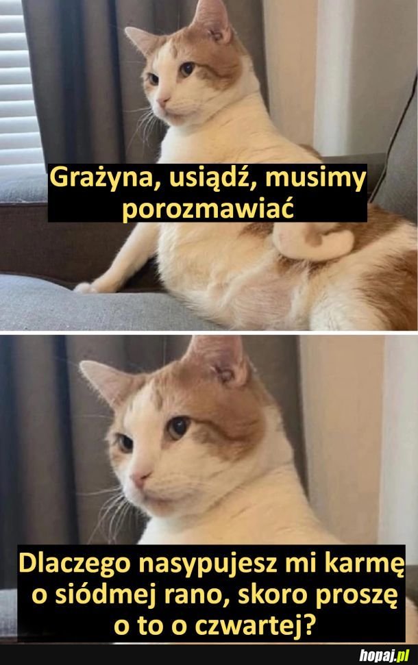 No właśnie xd