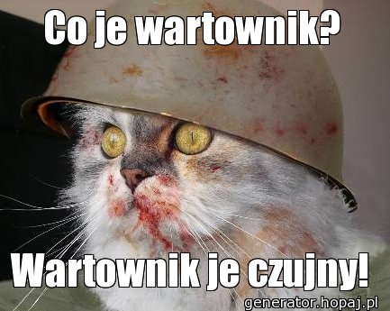 Co je wartownik?