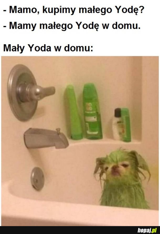 Mały, smutny Yoda