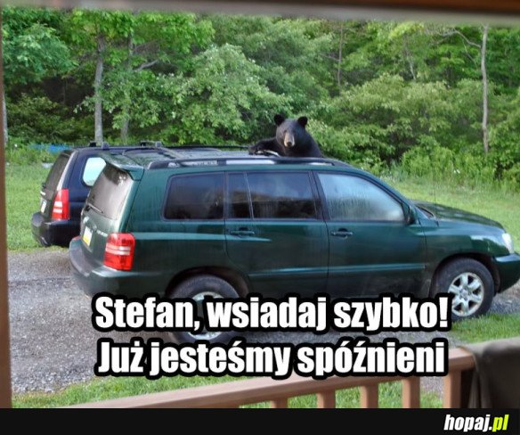 Stefan wsiadaj