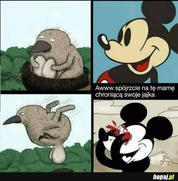 Internet taki jest