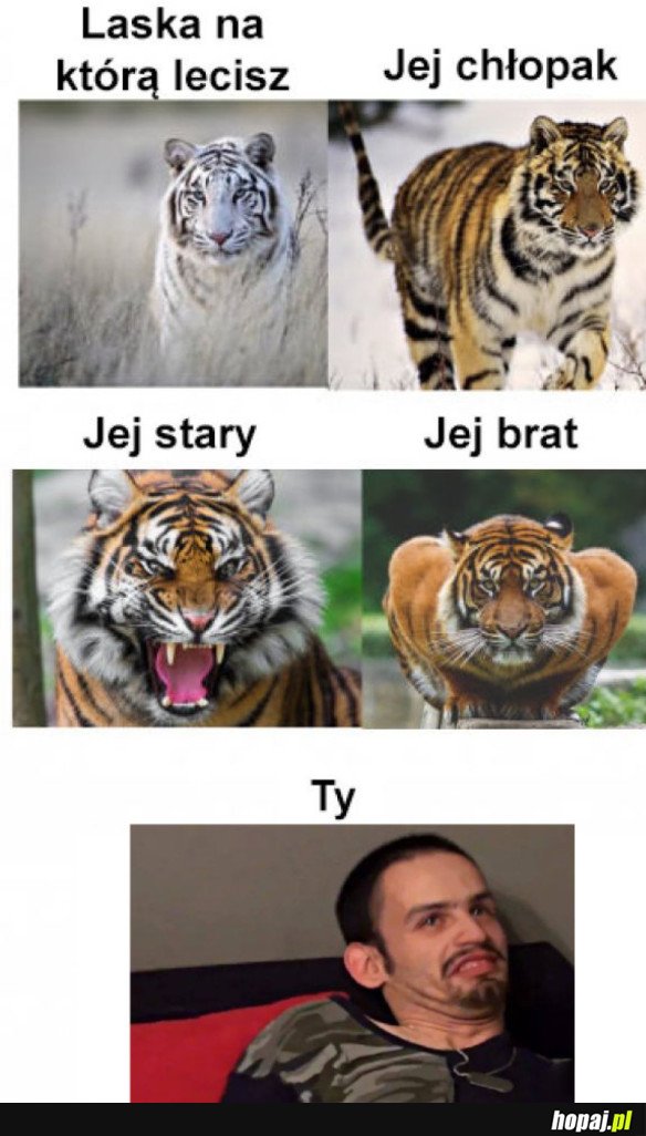 BAJGER TONZO