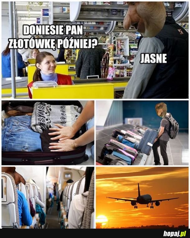 Żegnam, sayonara