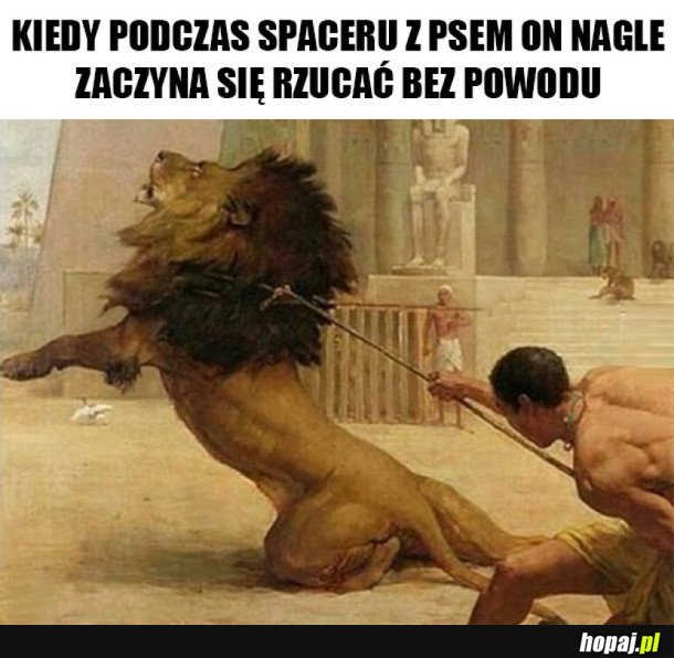 WŁAŚCICIELE PSÓW ZROZUMIEJĄ