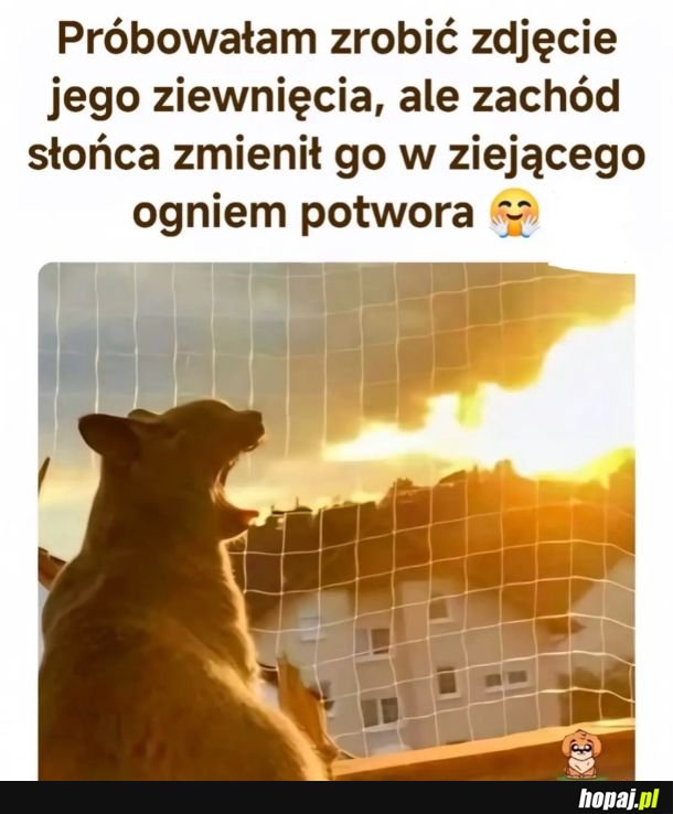 Kotzilla