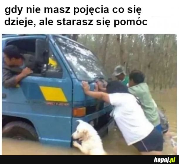 Jesteśmy w tym razem