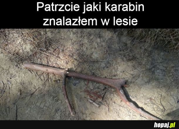 Najlepszy patyk