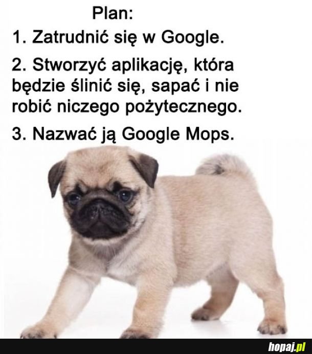  Google Mops 