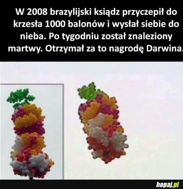 Brawo typie xD