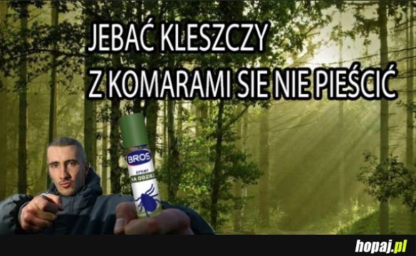 Wilku wie co dobre