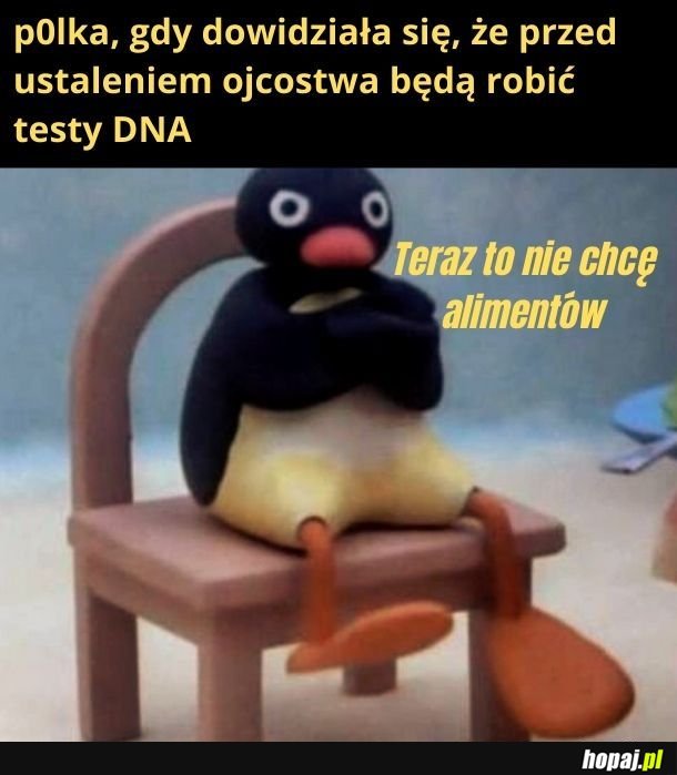 Już nie chcę