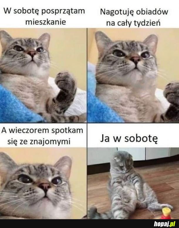 Moja sobota