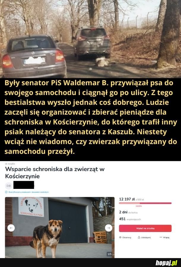 &quot;Piątka dla zwierząt&quot; wg. PiS