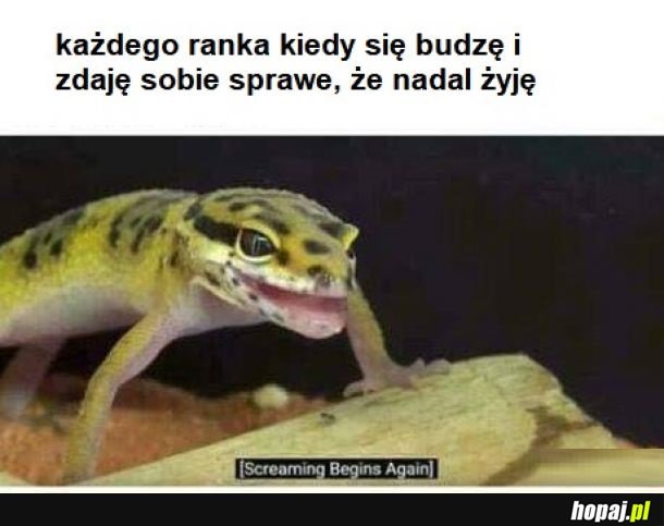 Ból egzystencjalny