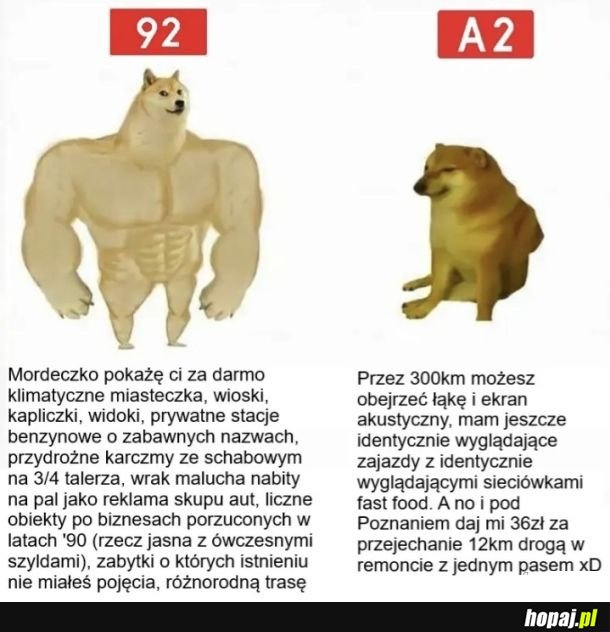 Warto przyswoić sobie tego mema na wakacje