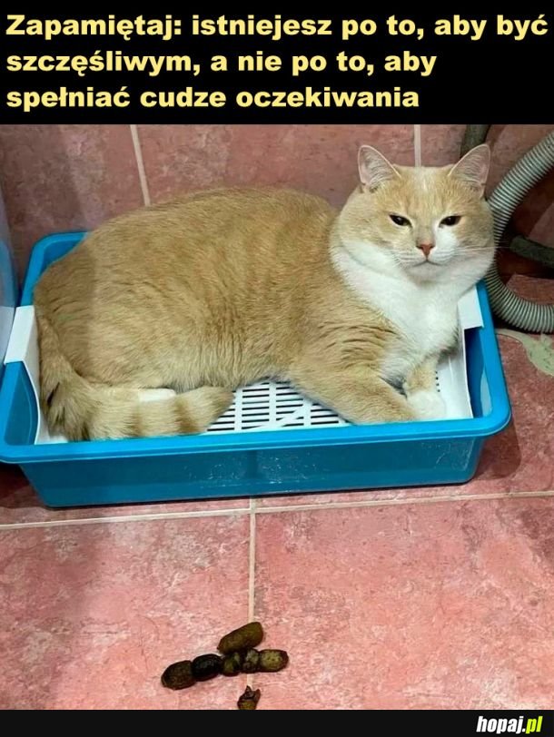 Zapamiętaj!