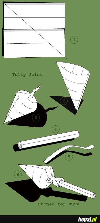 Tulip Joint ; D
