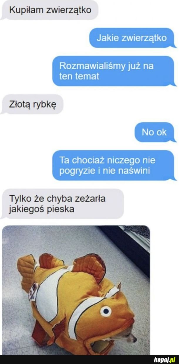 Złota rybka