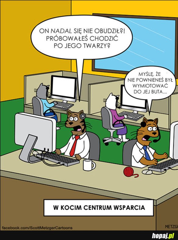 Kocie call center