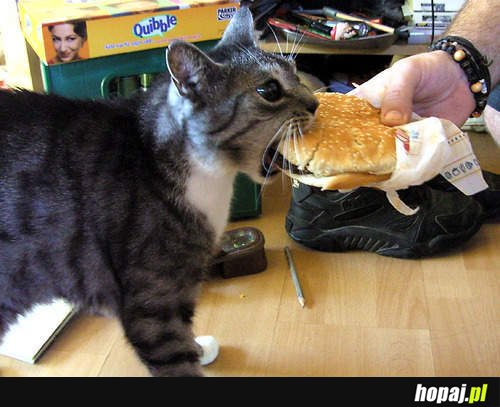 Om nom nom