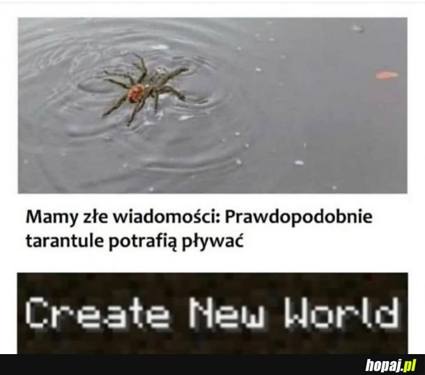  Zła wiadomość