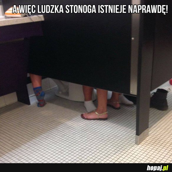 Co tam się wyprawia?