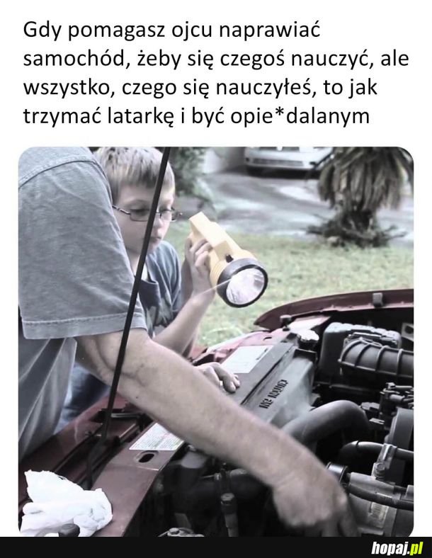 A wy, czego się nauczyliście?