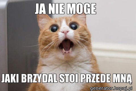 JA NIE MOGE 