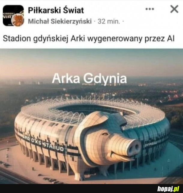 Arka gdynia k***a świnia