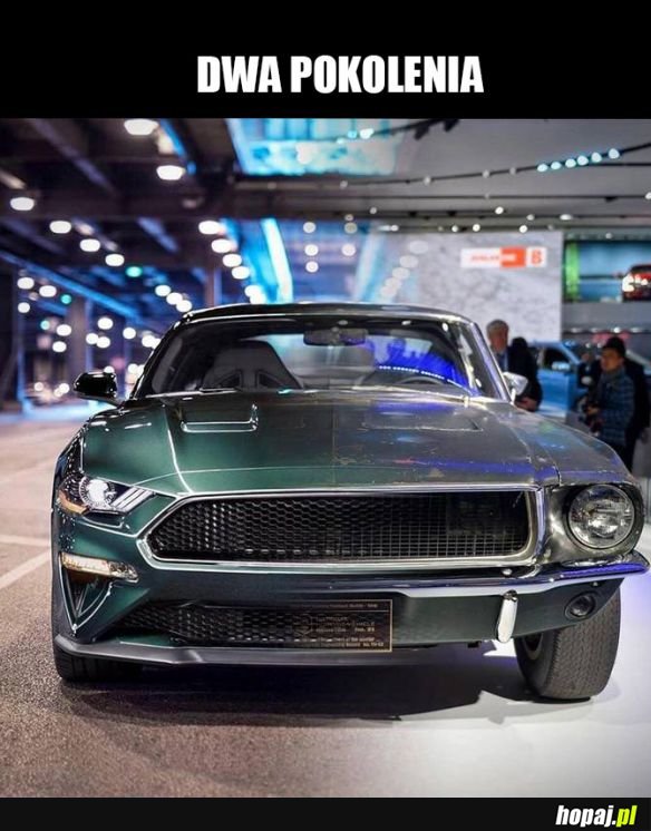 Ford mustang