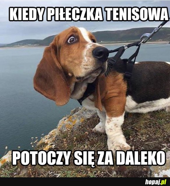 Ta piłeczka