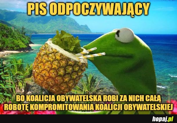 Tymczasem PiS.