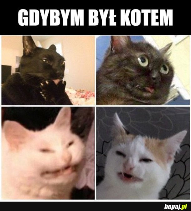 GDYBYM BYŁ...