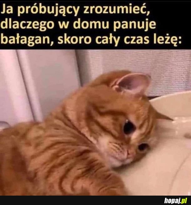 Dobre pytanie