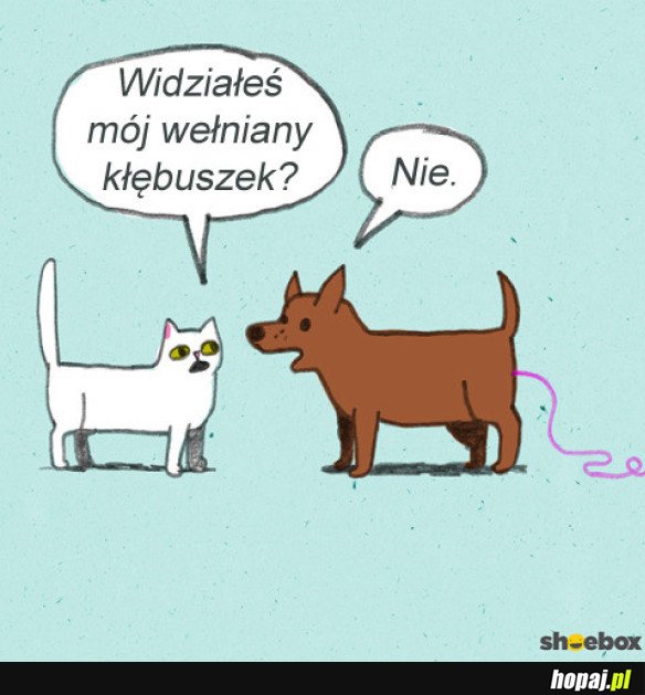 Wełniany kłębuszek