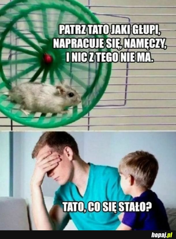 Życie