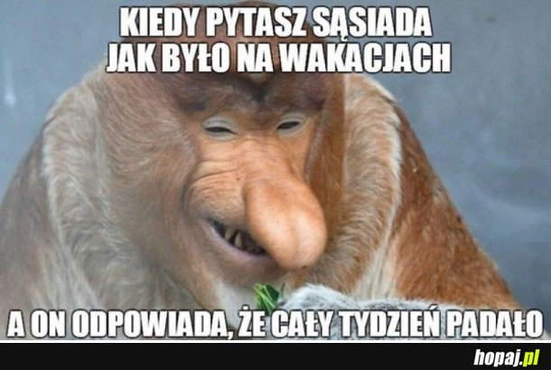 NO SZKODA...