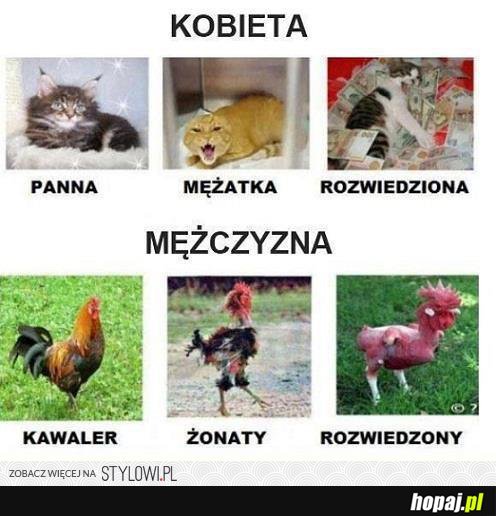 Kobieta a mężczyzna