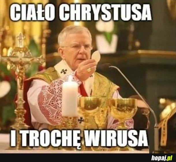 Ciało