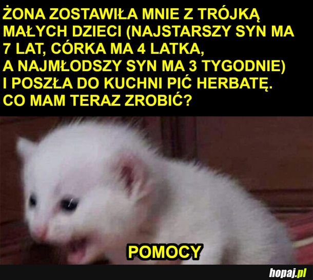 Pomocy