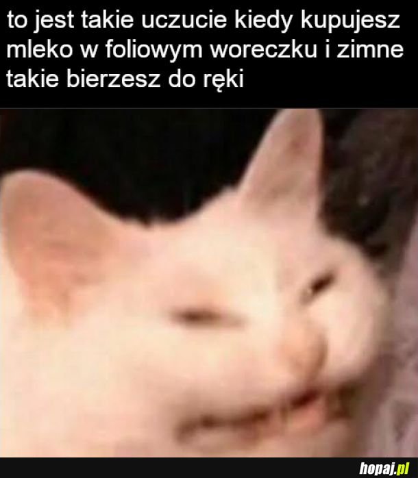 Trochę ohydne co nie