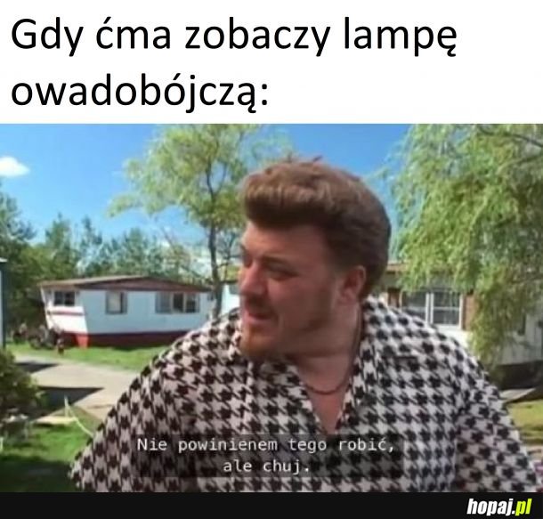 Lampa owadobójcza