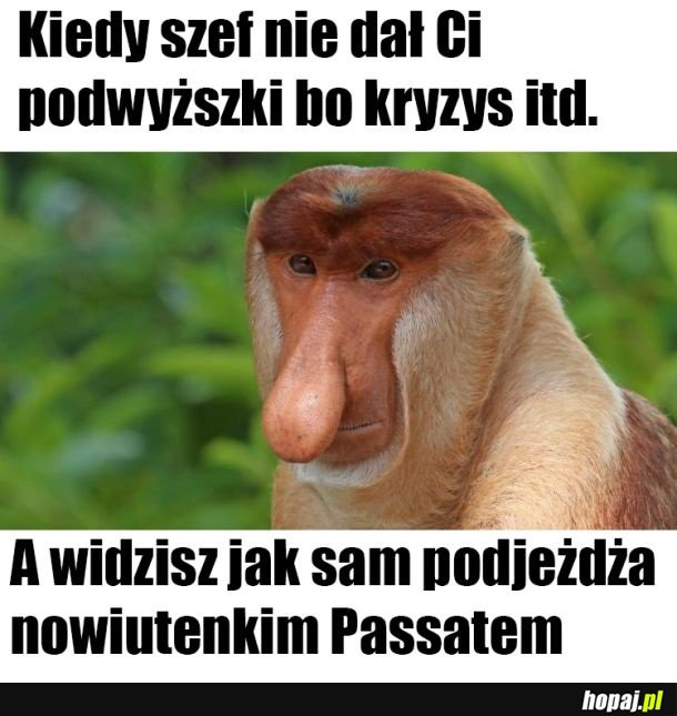 Dej podwyższę